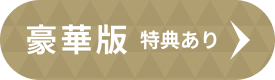 豪華版 特典あり